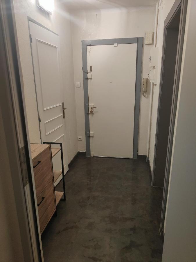 Tres Grand Appartement De 76M2 A Strasbourg Ngoại thất bức ảnh