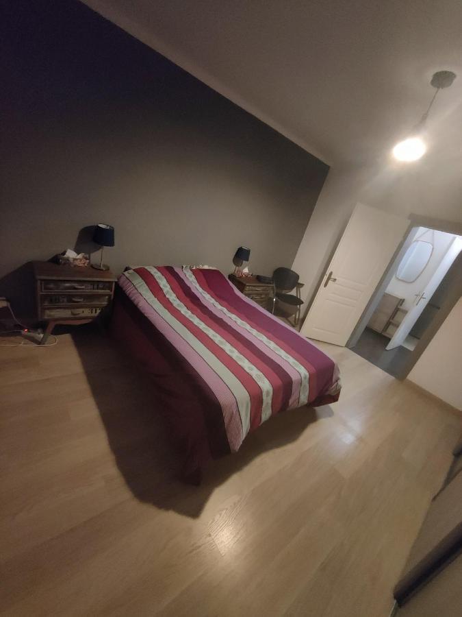 Tres Grand Appartement De 76M2 A Strasbourg Ngoại thất bức ảnh