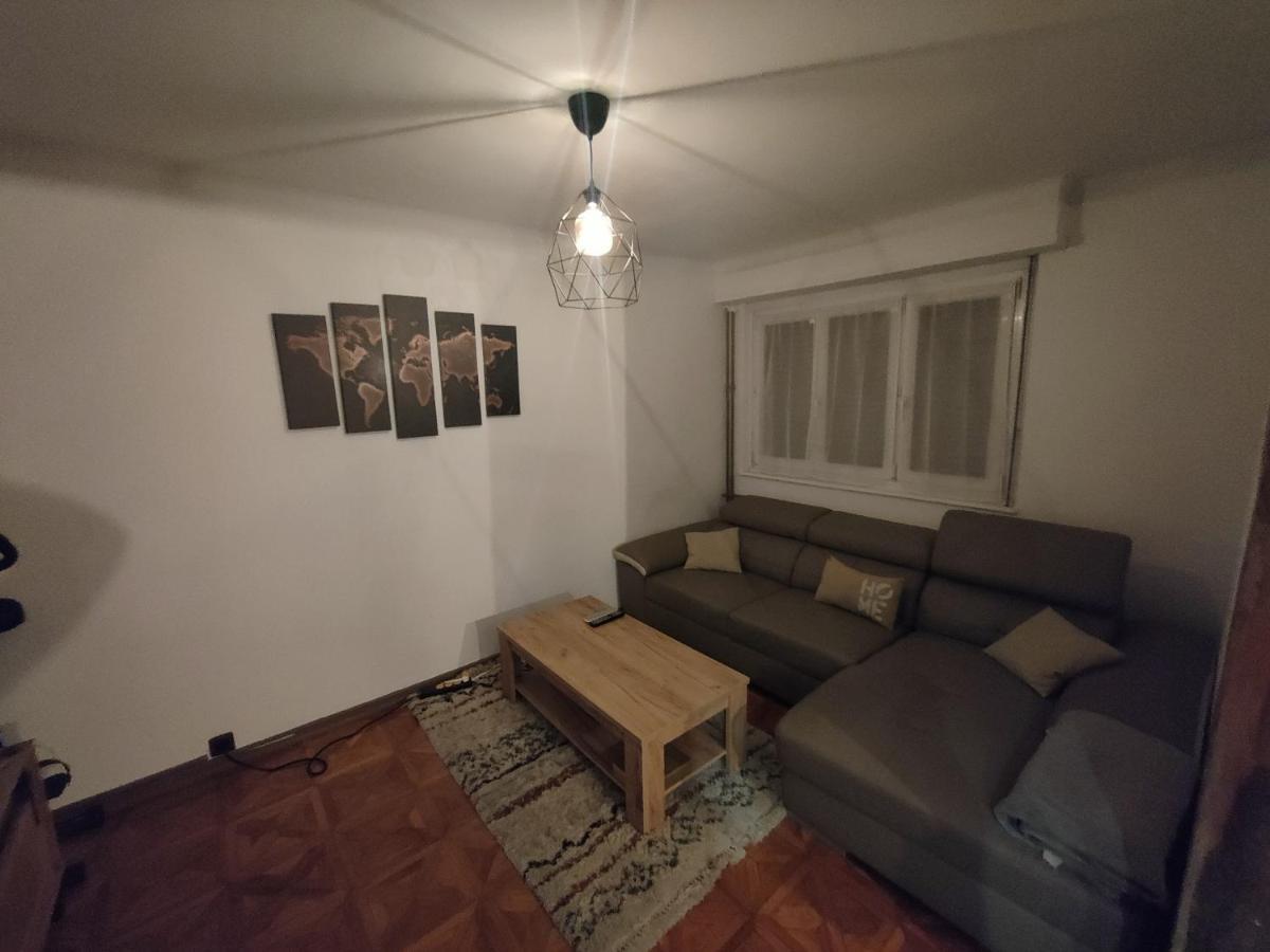Tres Grand Appartement De 76M2 A Strasbourg Ngoại thất bức ảnh