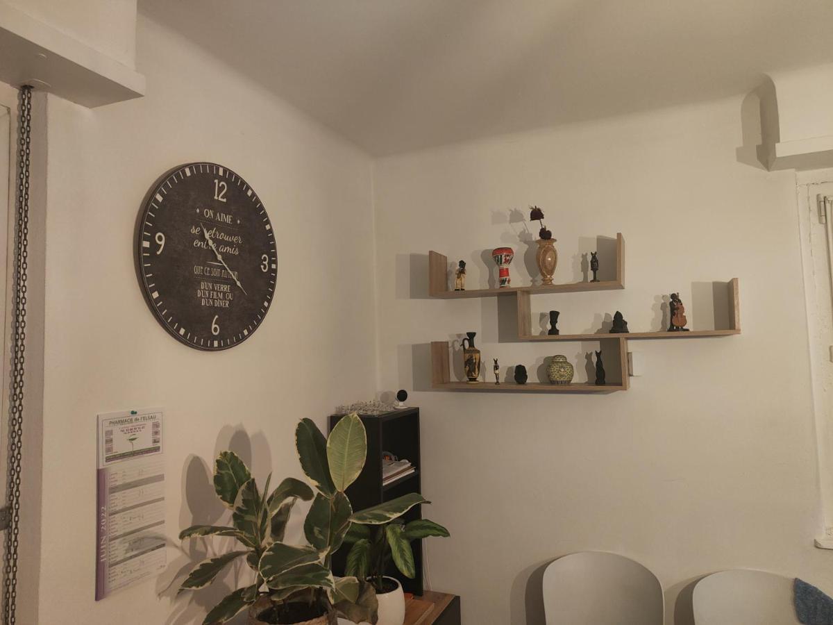 Tres Grand Appartement De 76M2 A Strasbourg Ngoại thất bức ảnh