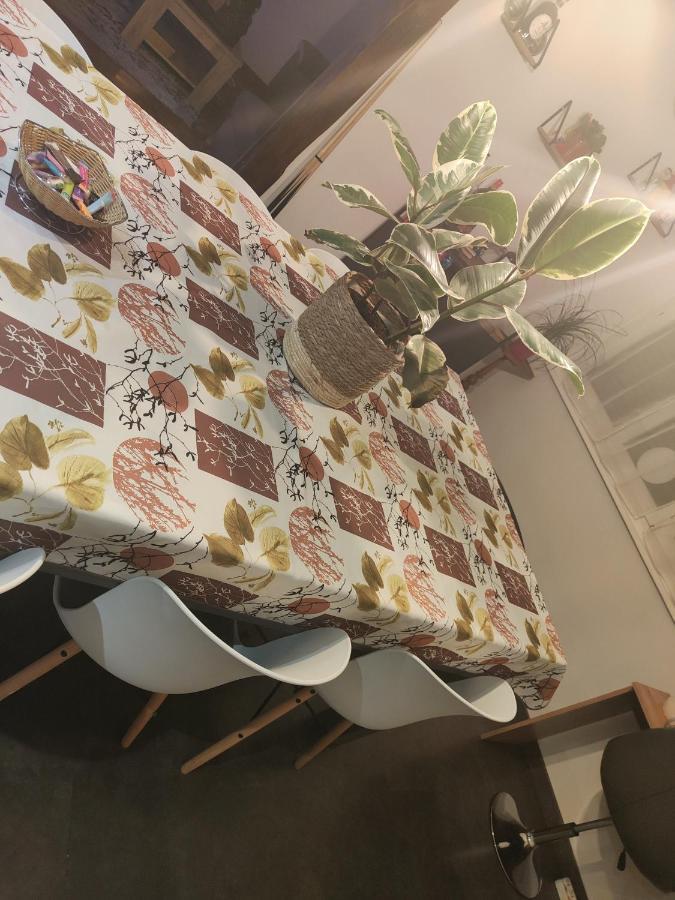 Tres Grand Appartement De 76M2 A Strasbourg Ngoại thất bức ảnh