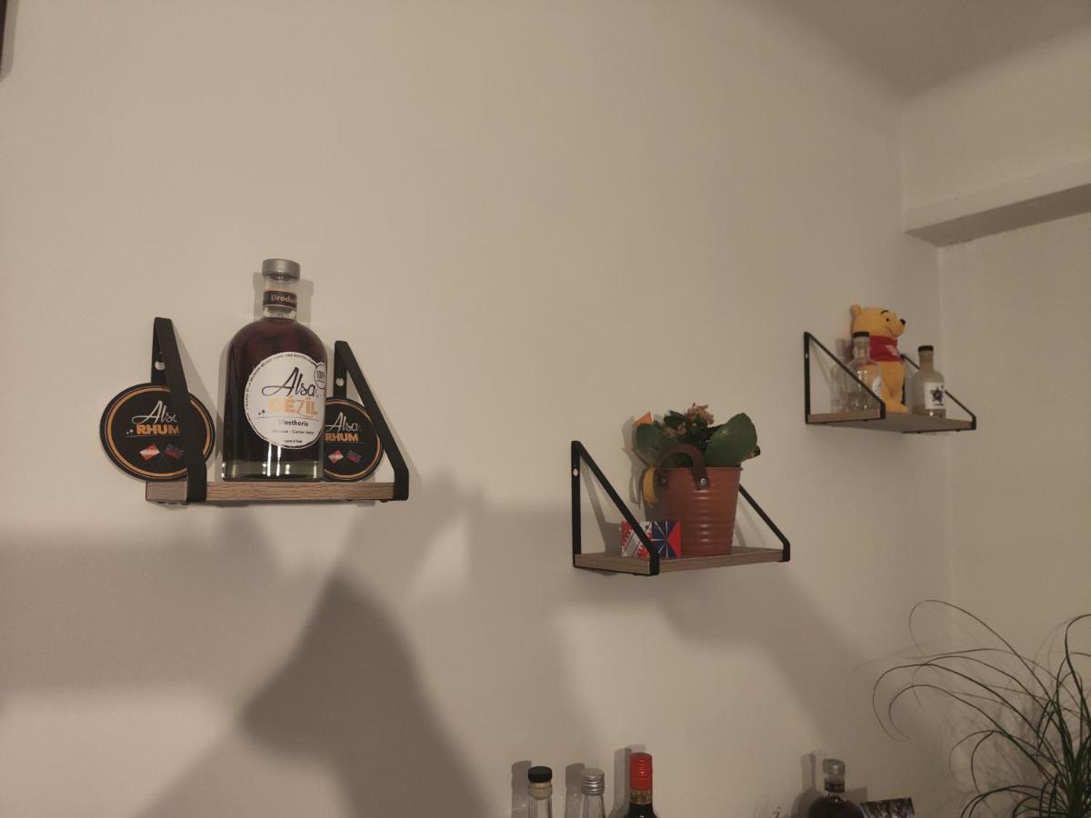 Tres Grand Appartement De 76M2 A Strasbourg Ngoại thất bức ảnh